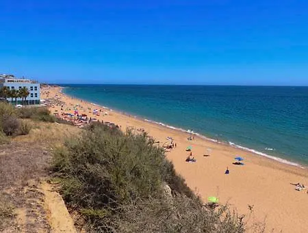 Rosa H7a * Albufeira